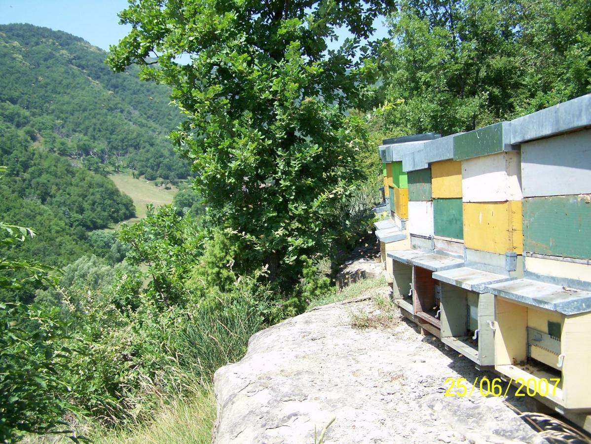 Agriturismo Pedrosola Brisighella Εξωτερικό φωτογραφία