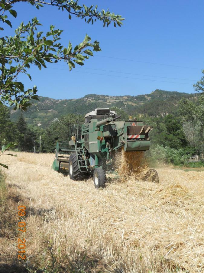 Agriturismo Pedrosola Brisighella Εξωτερικό φωτογραφία